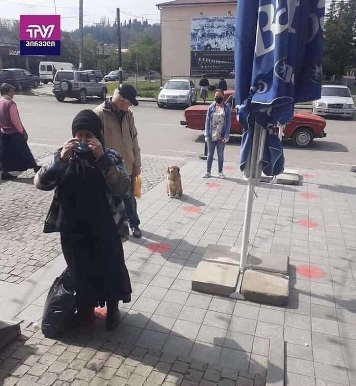 Как держать социальную дистанцию? Учимся у животных!