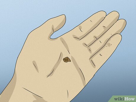 Шаг 1. Положите щепотку молотой корицы на ладонь.