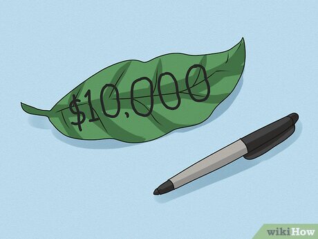 Шаг 2. Используя маркер, напишите на листке точную сумму в долларах, которую вы хотите получить.